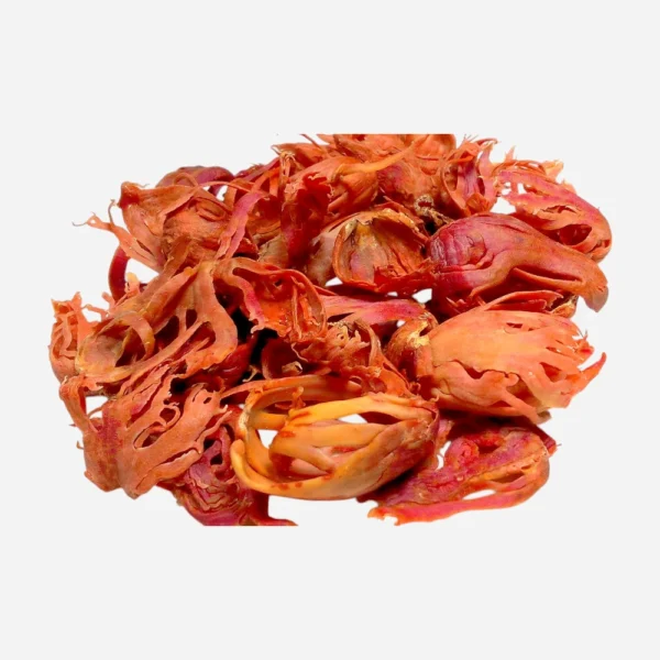 JAYPATRI 10 GRAM