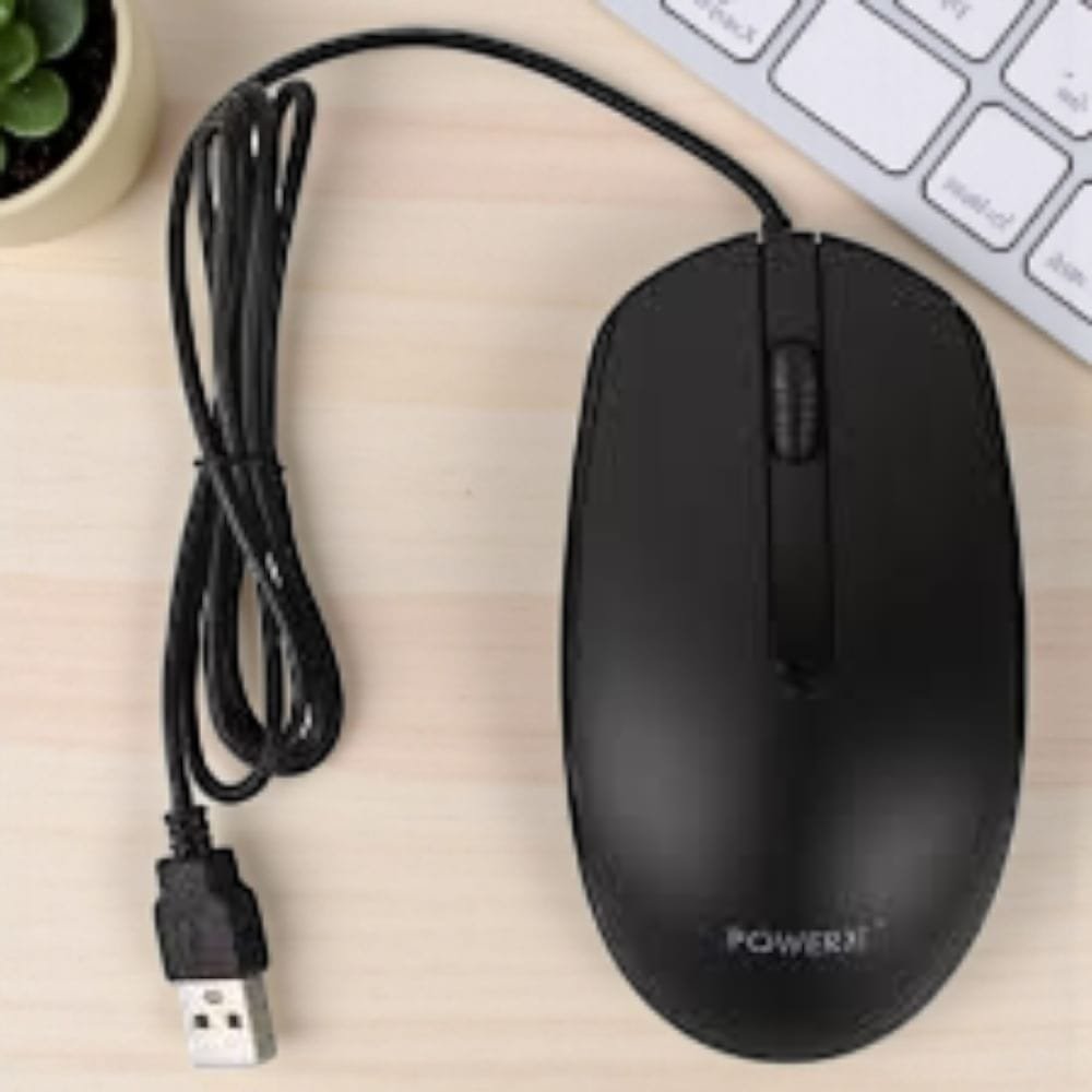 Mouse